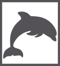 Dolphin Parking Garage Icon